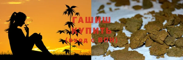 мяу мяу мука Магас