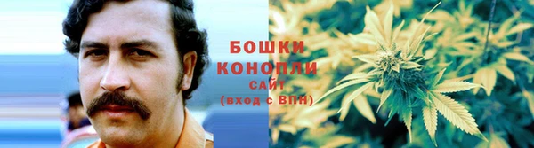 эйфоретик Магадан
