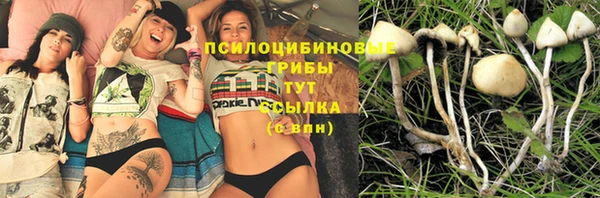 ПСИЛОЦИБИНОВЫЕ ГРИБЫ Аксай